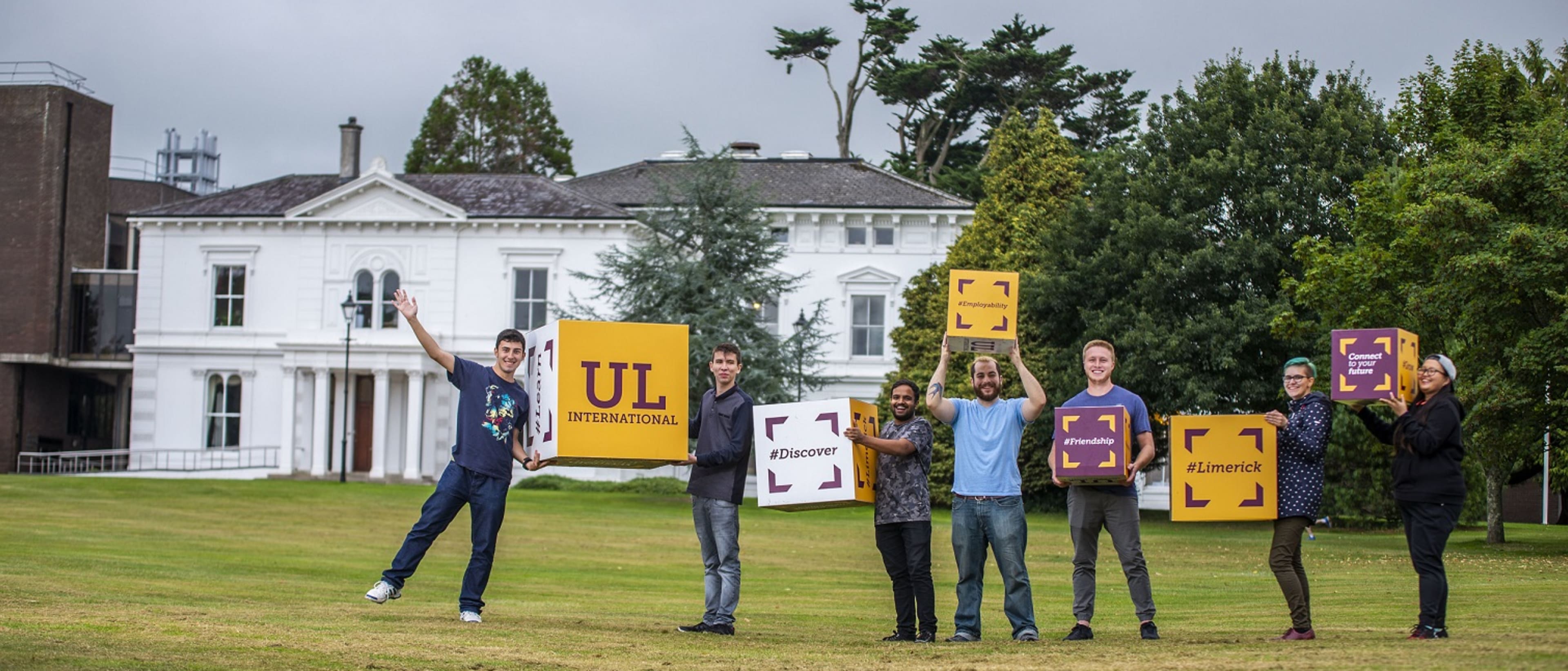 University of Limerick